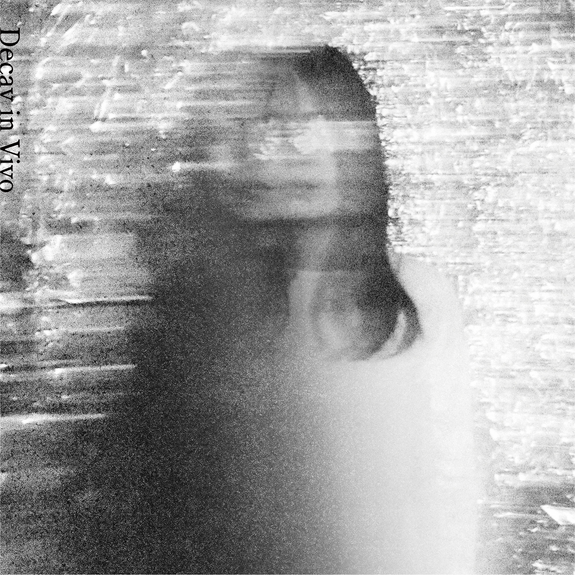 Birth in Vitro EP cover